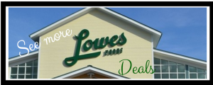 Lowes Foods Deals