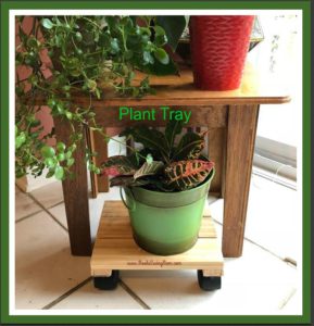 Plant Tray