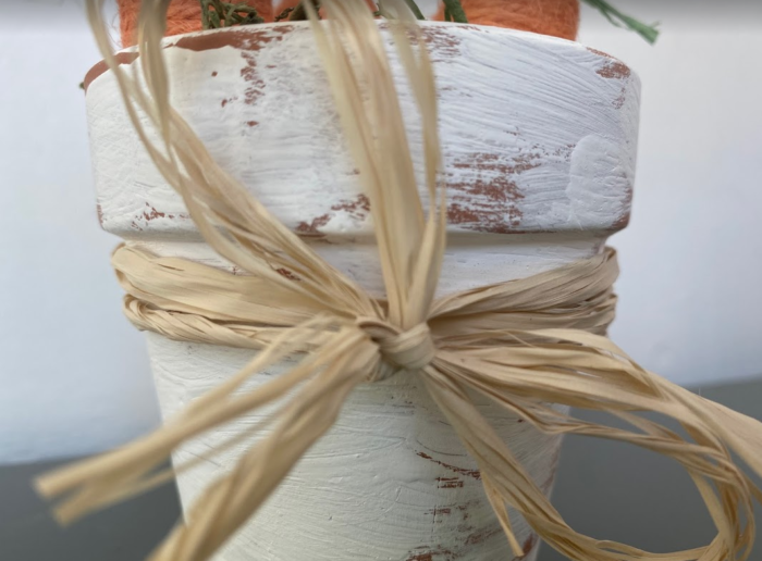 Easy Dollar Tree Carrot Pots Moola Saving Mom