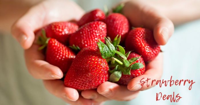 strawberry deals