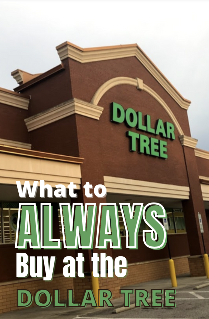 what to buy at the dollar tree