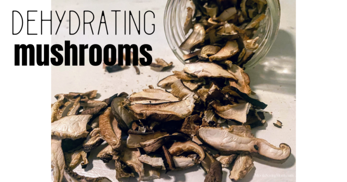 dehyrating mushrooms