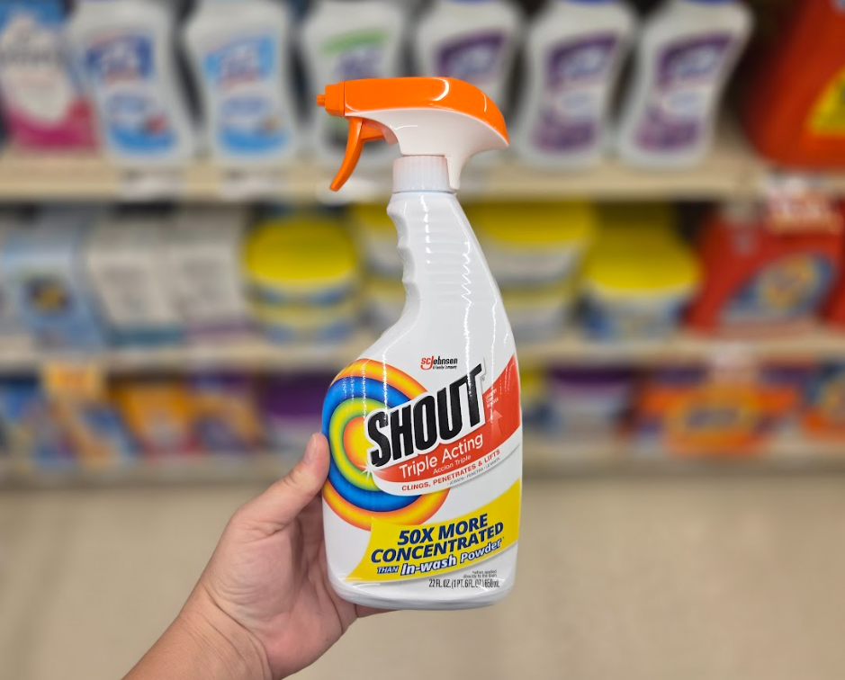 Shout BOGO + Digital Coupon *Publix* | Moola Saving Mom